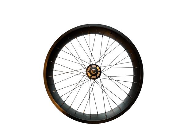 Benno Front Wheel 20" RemiDemi EVO 1 