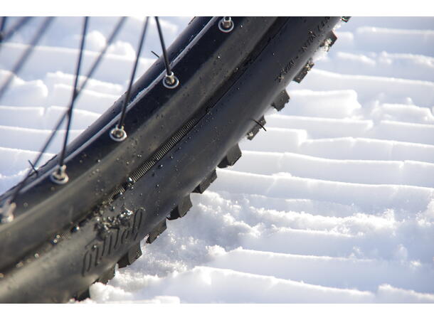 Benno 46er Winter Wheel Setup 46er, EVO 1+ 